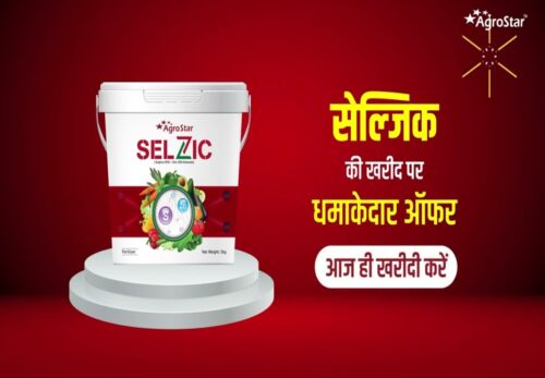 पिकांच्या बंपर उत्पादनासाठी सेल्झिक!