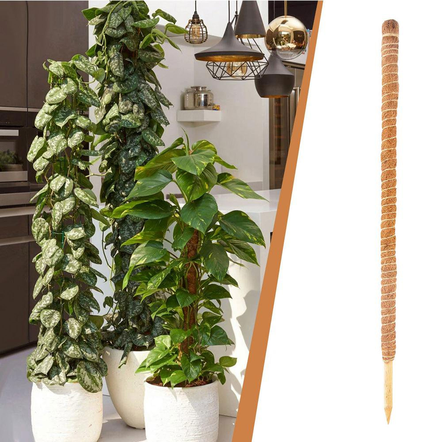 Julam Bendable Coco Coir Moss Pole Climbing Stakes Plant - Image 2