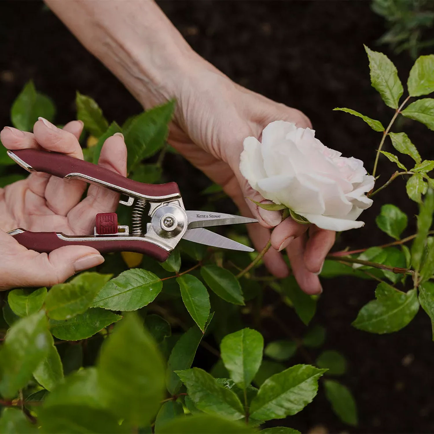 Kent and Stowe Garden Life Pruning Snips - Image 3