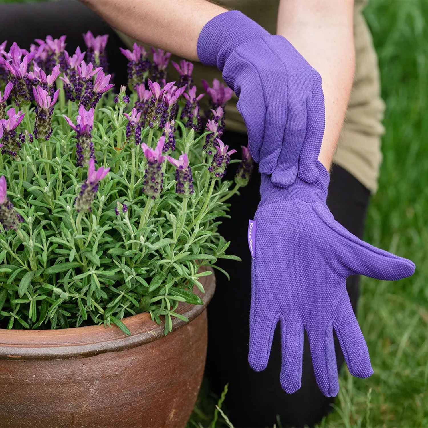 Kent and Stowe Jersey Cotton Grip Gloves Medium Purple - Image 3