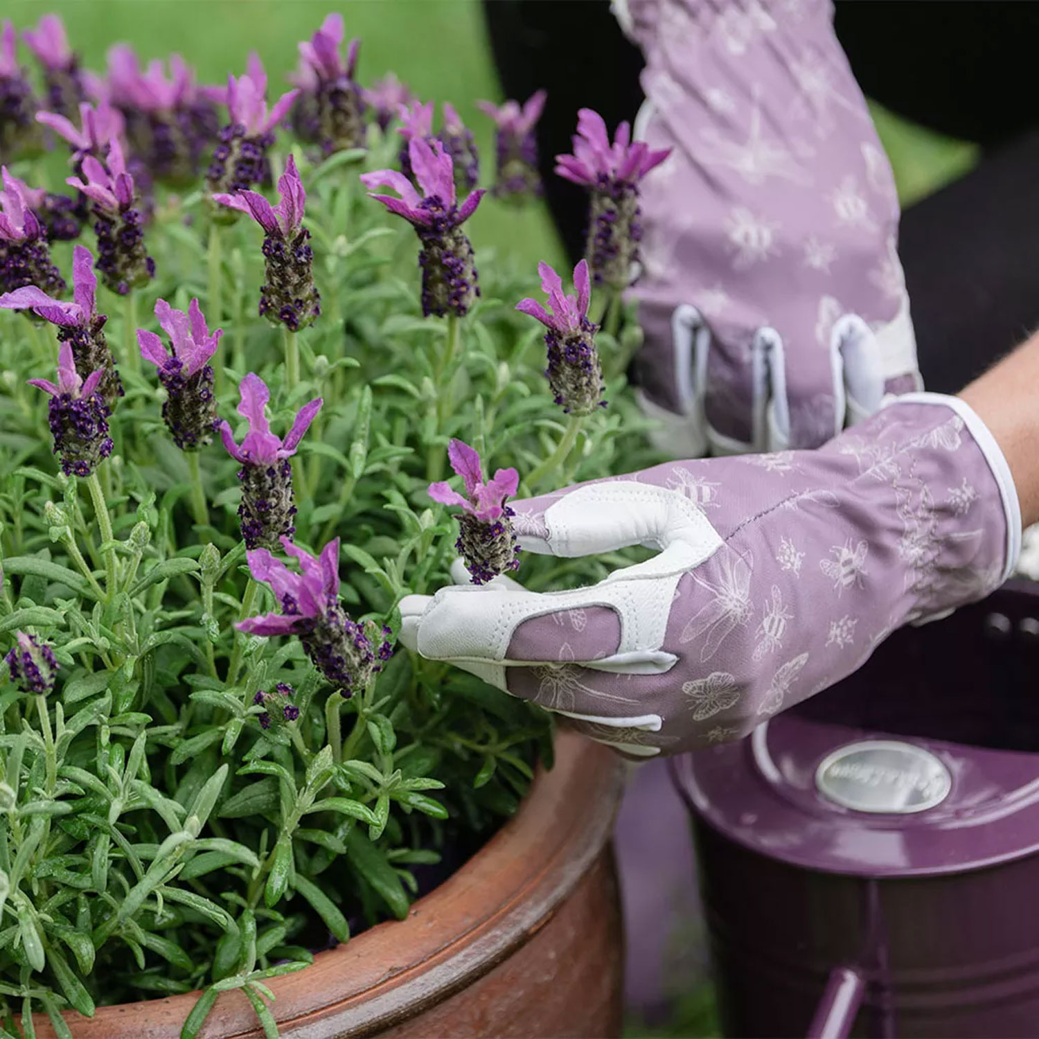 Kent and Stowe Leather Gloves FlutterBugs Purple Sml - Image 3