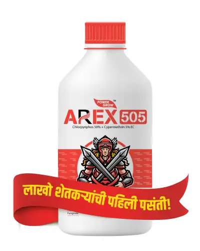 अॅरेक्स -505 (क्लोरपायरीफॉस 50% + साइपरमेथ्रिन 5% ईसी) 1 लिटर