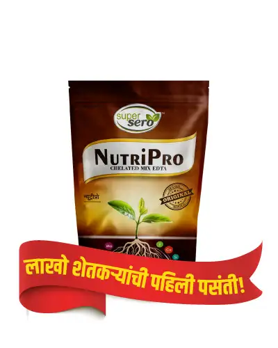 न्युट्रीप्रो ग्रेड 2 - 250 ग्रॅम